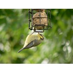 24828e54-e455-4833-b733-6c0da5d32bda