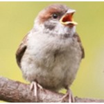 c0ce268d-4105-4c87-86e4-3310cc522418