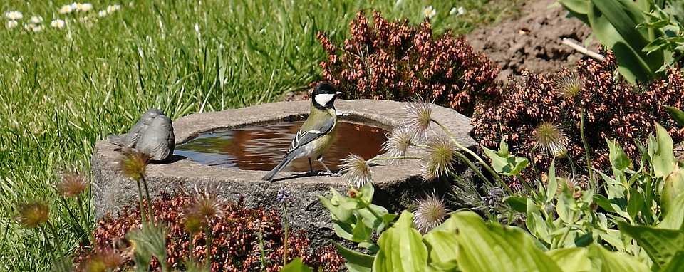 how to make a wildlife friendly garden