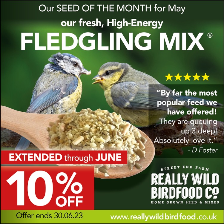 Fledgling Mix offer