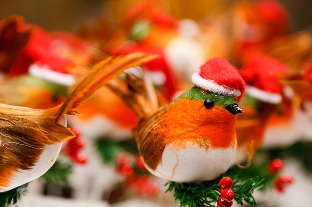 christmas robins