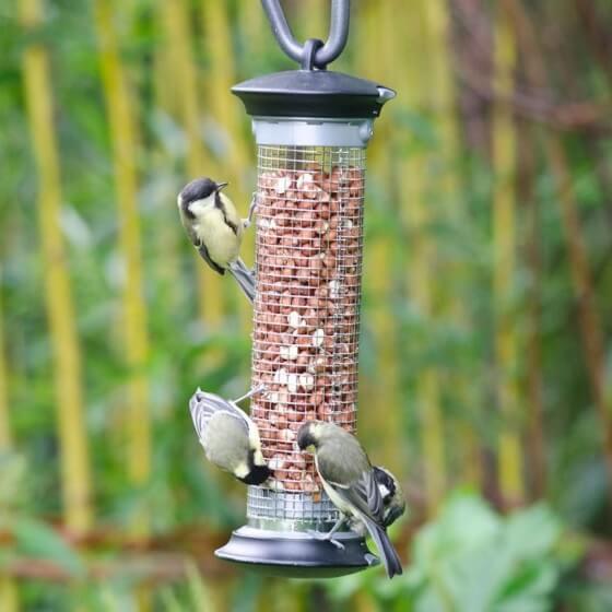 Peanut feeder