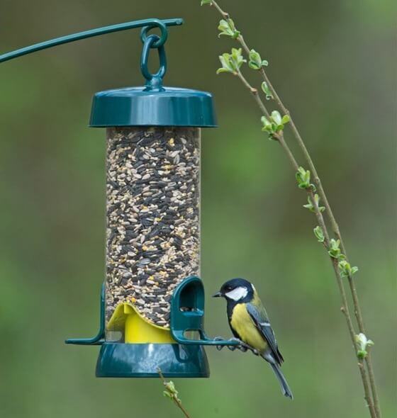 Big Easy Seed Feeder