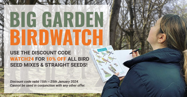 Big Garden Birdwatch 2024