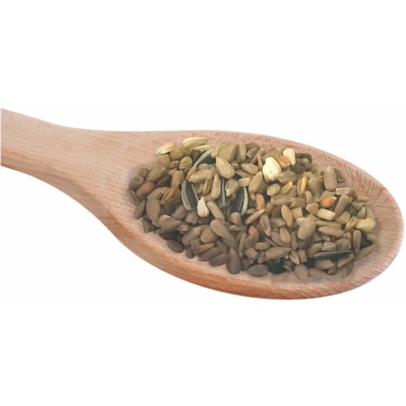 bird seed spoon