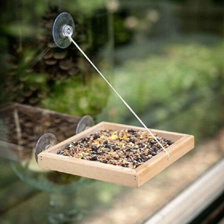 bird swing shelf