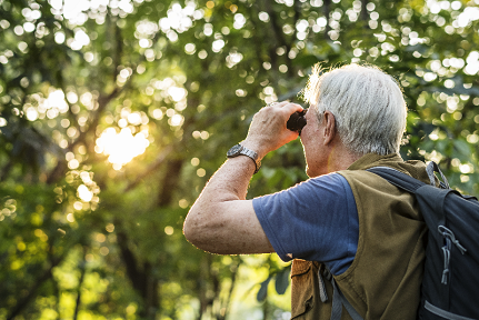 Rspb Big Garden Birdwatch 2020