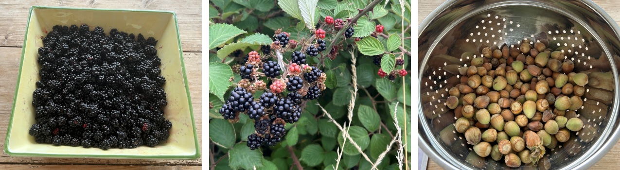 Blackberries and apples
