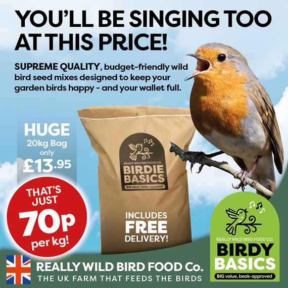 You'll be singing too at this price!