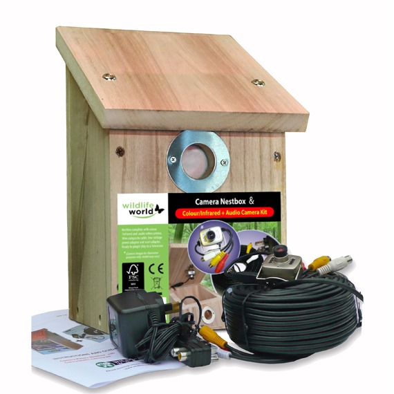 Best Bird Box Cameras for Bird Watchers