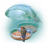 mealworm bird feeder
