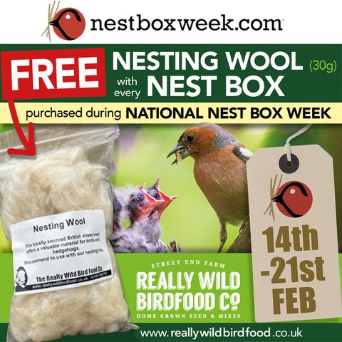 Free nesting wool with every nest box purchased until 21st Feb 2025