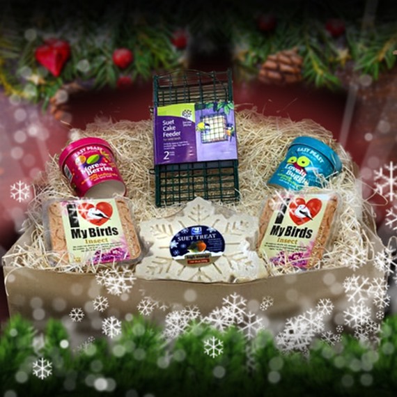 7 Gifts for Bird Lovers Best Gifts for Bird Lovers