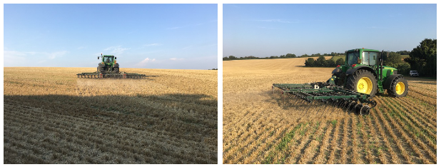 harvest 2019