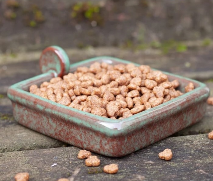 Hedgehog food in snack bowl