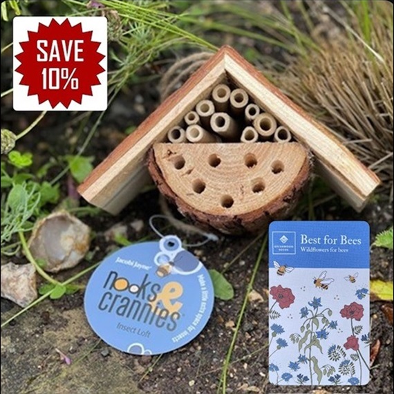 Insect loft