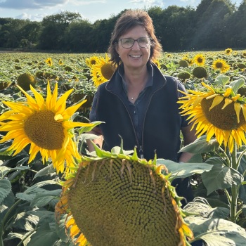 Lesley among the sunflowers