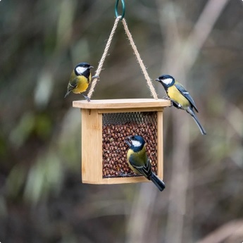 Nagano peanut and suet feeder