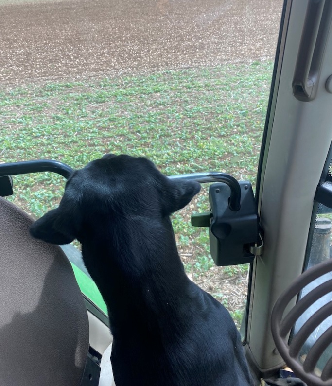 Ness's first tractor ride