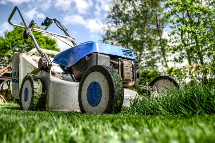 No Mow May 2025
