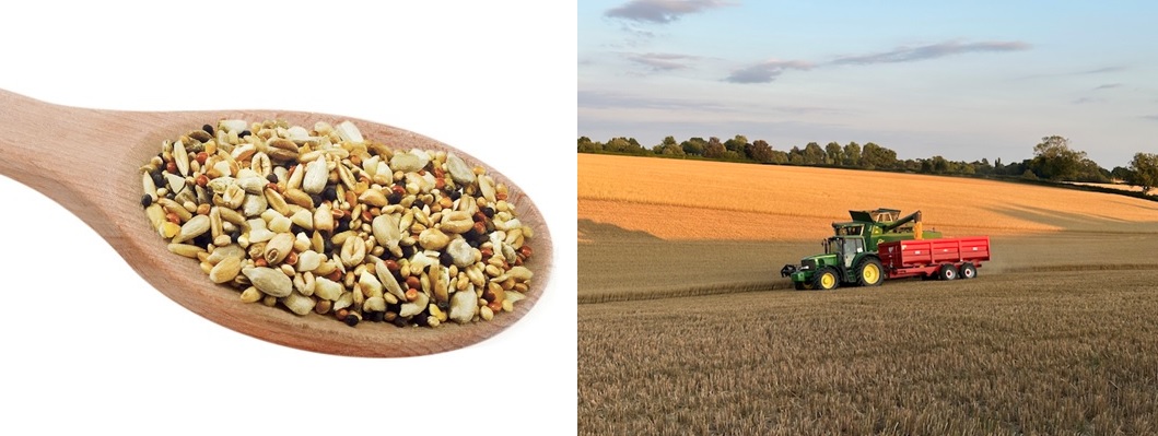 Original Farm Gold bird seed