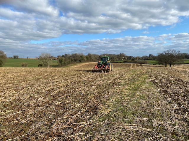 Preparing the field for sowing