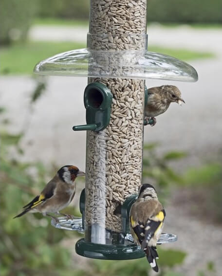 Rain Away rain guard for bird feeders