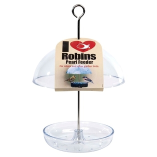 small robin bird feeder