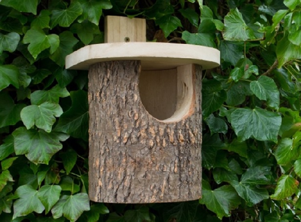 Robin Nest Box