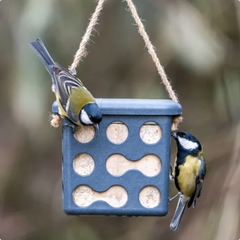 Rome fat square feeder