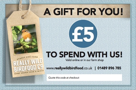 7 Gifts for Bird Lovers – Best Gifts for Bird Lovers