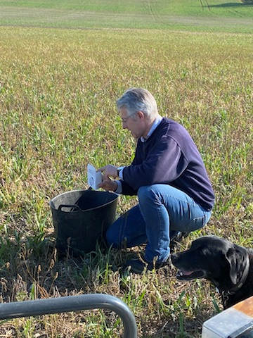 Sampling soil for analysis