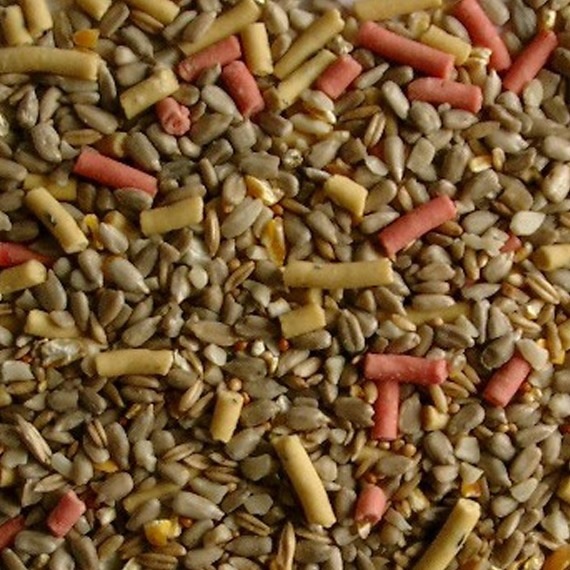Winter bird feed