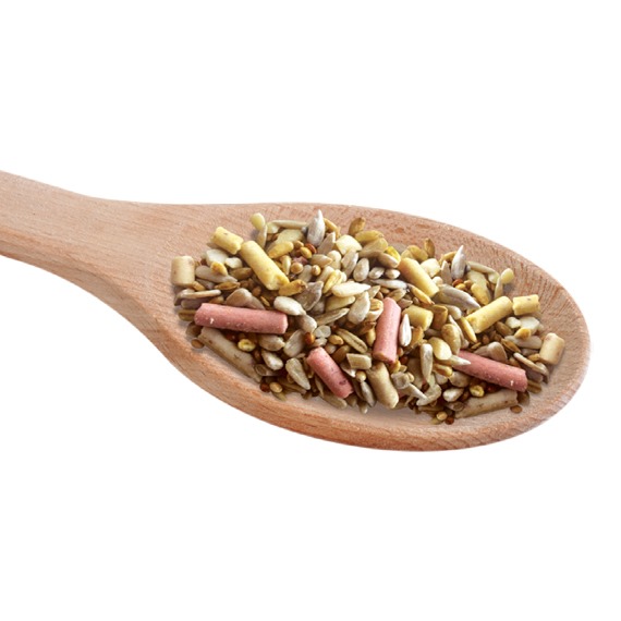 Seed and suet combo for garden birds