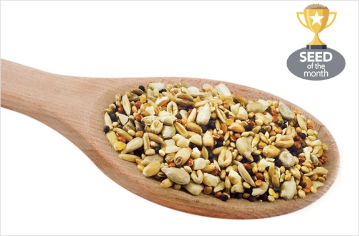 Seed of the Month: Original Farm Gold