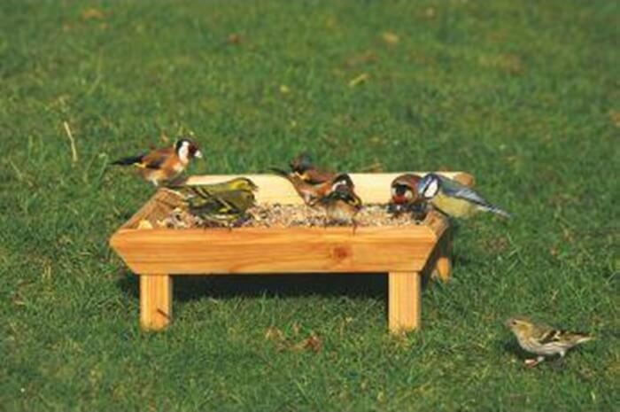 Ground feeding table