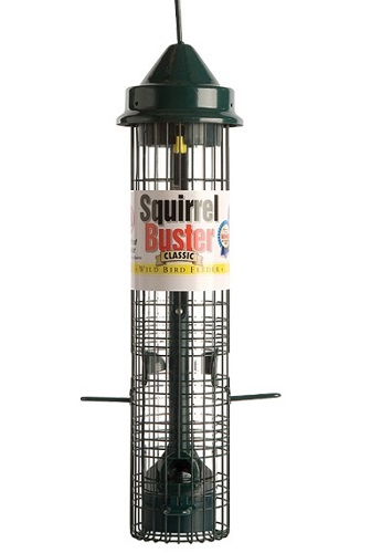 squirrel buster bird feeder