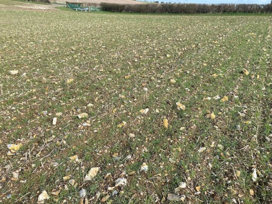 Flinty soil on Street End Farm, Hampshire
