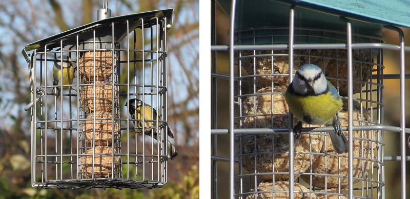 suet feeder