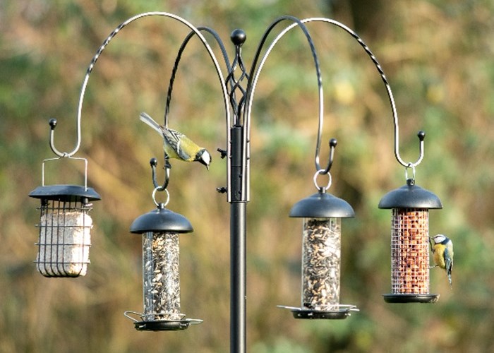 how to build a bird feeding station