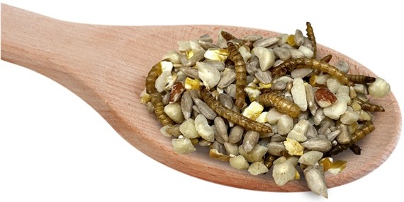 Tidy Garden Crunch™ Bird Seed Mix