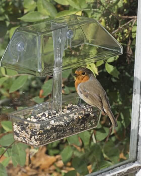 bird feeding stations