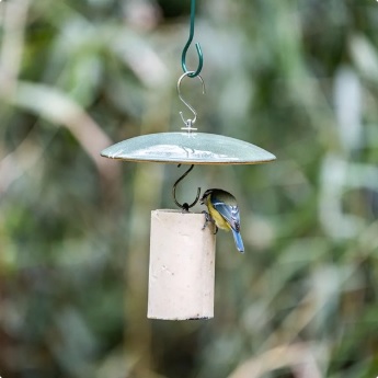 Vierno peanut cake feeder