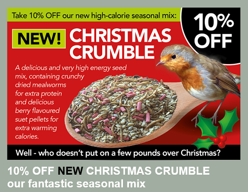 christmas crumble