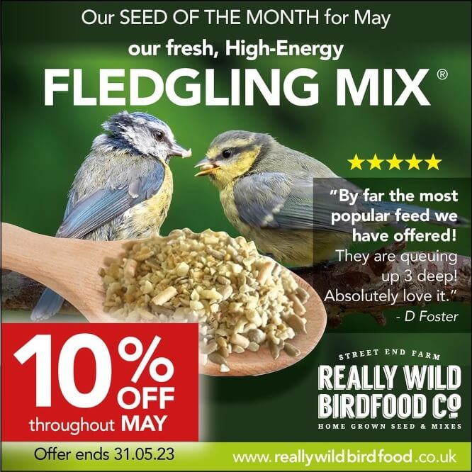 10% off our High Energy Fledgling Mix
