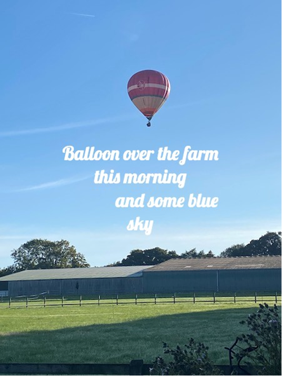 news from the farm - hot air balloon flying over a farm
