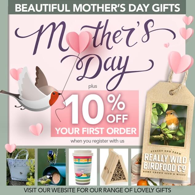 Beautiful Mother's Day Gifts