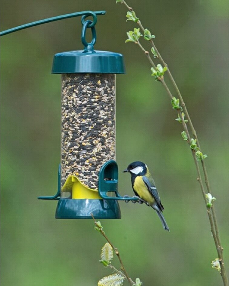 Big Easy bird feeder