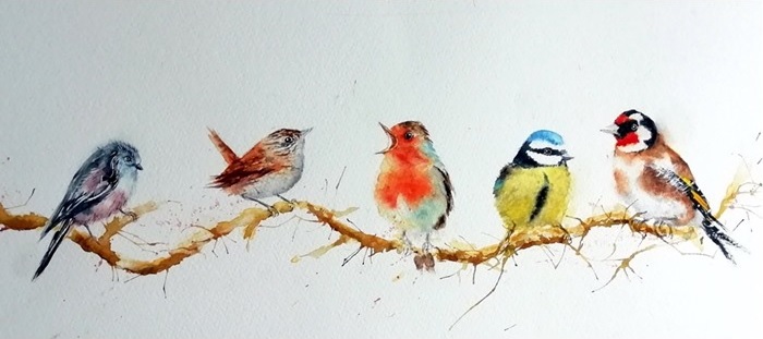 Bird watercolour print