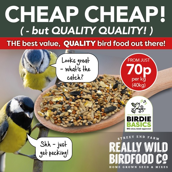 Birdie Basics: Cheap Bird Food